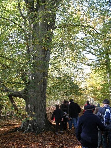 2008 10 Myco domaine de La Claye 21